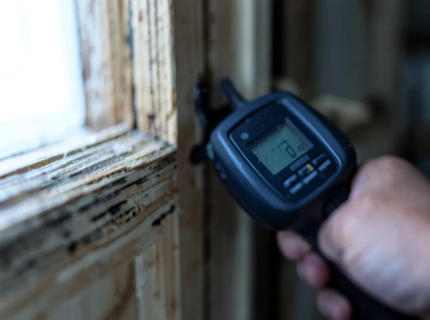 Commercial Water Damage Restoration in Hillister, TX